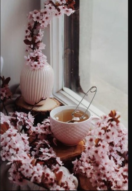 Tasse de thé fumante entourée de fleurs de cerisier roses sur un rebord de fenêtre, ambiance douce et apaisante