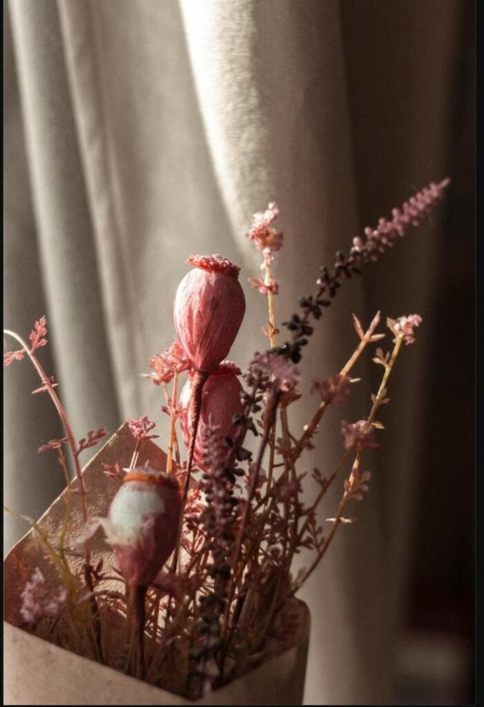 Bouquet de fleurs séchées roses devant un rideau baigné de lumière, symbole de renouveau après une rupture